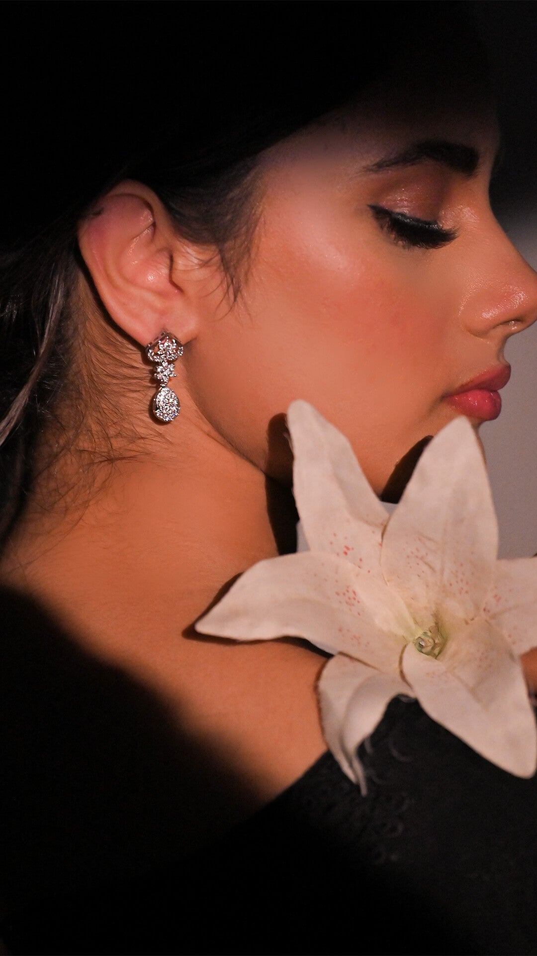 Zircon Dangling Earrings