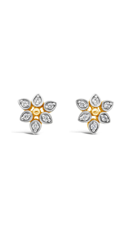 Zircon Studs